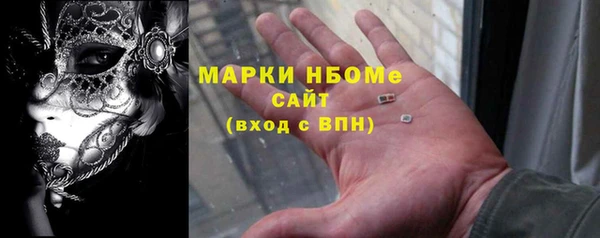 мдпв Карпинск