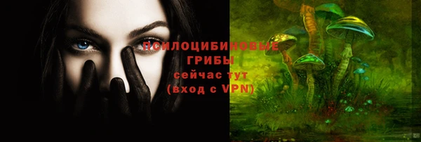 ПСИЛОЦИБИНОВЫЕ ГРИБЫ Киренск