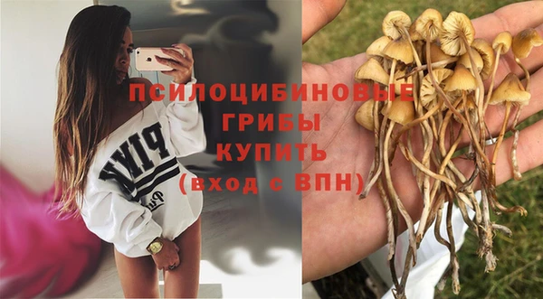 мдпв Карпинск