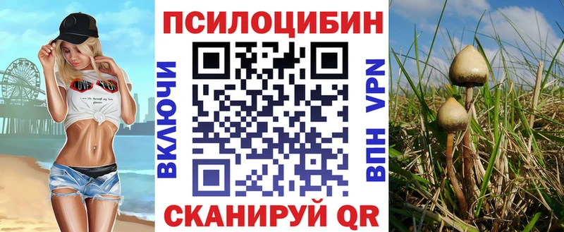 Псилоцибиновые грибы Psilocybe  Козловка 